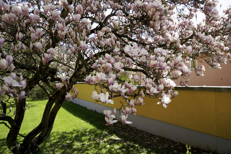 Best Bathroom Remodeling pros in Magnolia, TX